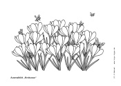 Ausmalbild „Krokusse“ - Kindergottesdienst