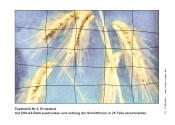Puzzlebild Nr.5, Erntedank Ähren (25 Teile) - Kindergottesdienst