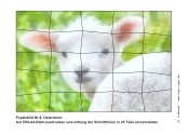 Puzzlebild Nr.8, Osterlamm (25 Teile) - Kindergottesdienst