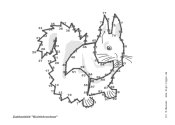 Zum Zahlenbild „Eichhörnchen“ - Kindergottesdienst