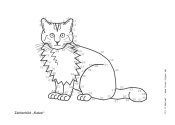 Zum Zahlenbild „Katze“ - Kindergottesdienst