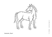 Zum Zahlenbild „Pferd“ - Kindergottesdienst