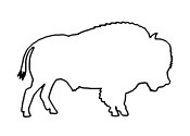 Zum Bild „Bison“ - Kindergottesdienst