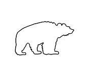 Zum Bild „Braunbär“ - Kindergottesdienst