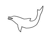 Zum Bild „Delfin“ - Kindergottesdienst
