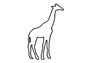 Zum Bild 'Giraffe'