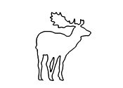 Zum Bild „Hirsch“ - Kindergottesdienst