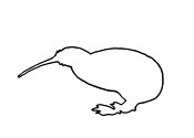 Zum Bild „Kiwi“ - Kindergottesdienst