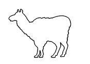 Zum Bild 'Lama'