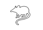 Zum Bild „Maus“ - Kindergottesdienst