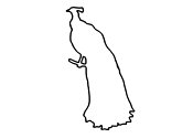 Zum Bild „Pfau“ - Kindergottesdienst