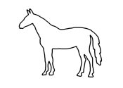 Zum Bild „Pferd“ - Kindergottesdienst