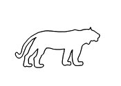 Zum Bild „Tiger“ - Kindergottesdienst