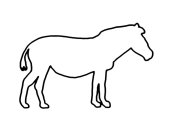 Zum Bild „Zebra“ - Kindergottesdienst