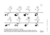 Suchbild &bdquo;Blumen in der Sonne&ldquo; - Kindergottesdienst
