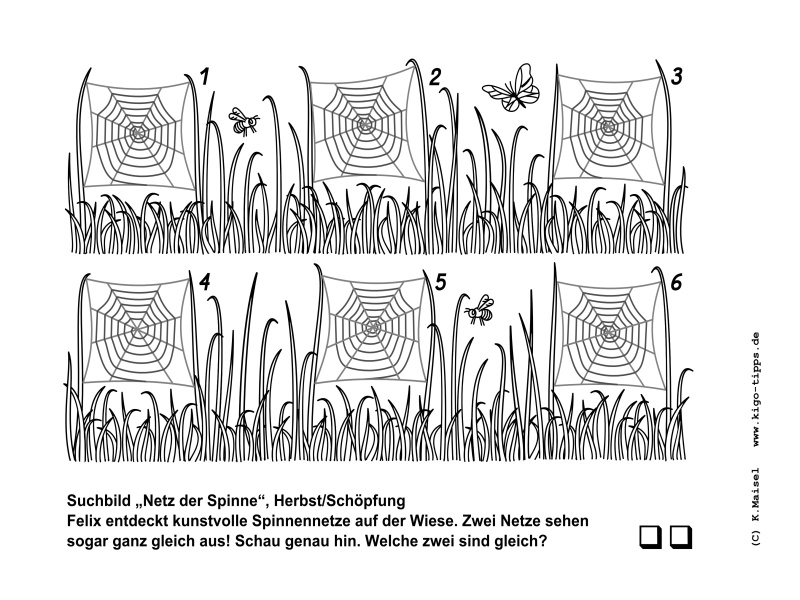 Vorschau Suchbild &bdquo;Netz der Spinne&ldquo; für den Kindergottesdienst
