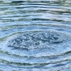 Abb. Wellenkreise im Wasser
